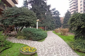 Park House Scheiwiller